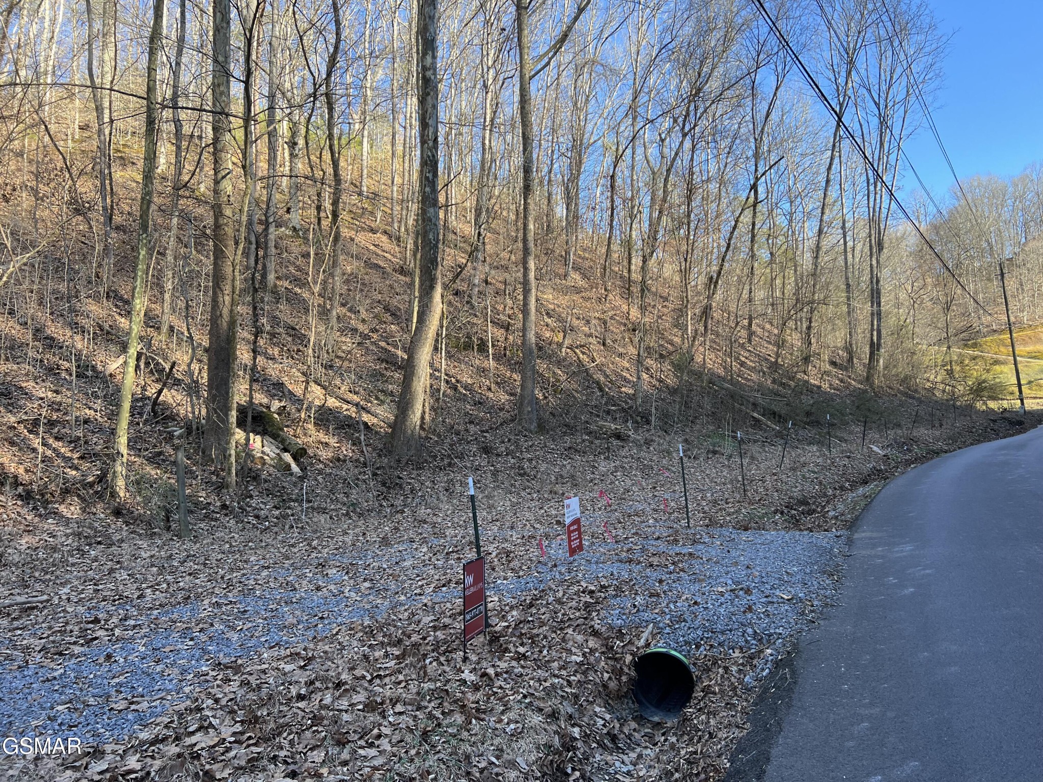 1 Indian Gap Road Sevierville, TN 37876 - Photo 6 of 9