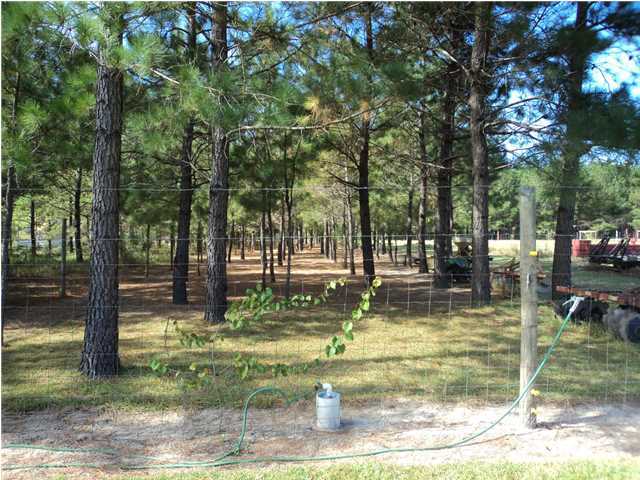 128 Shiloh Loop Ruffin, SC 29475 - Photo 22 of 24 Additional Photo