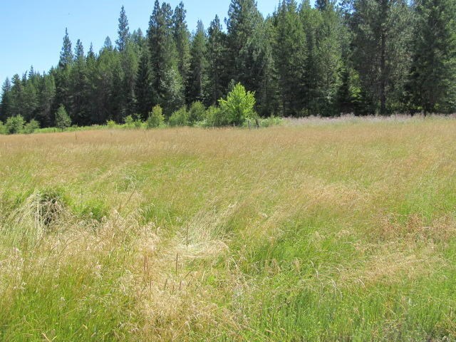 18182 Westside Calispel Road Cusick, WA 99119 - Photo 11 of 12