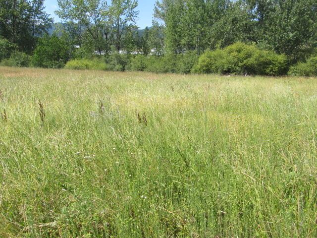 18182 Westside Calispel Road Cusick, WA 99119 - Photo 10 of 12