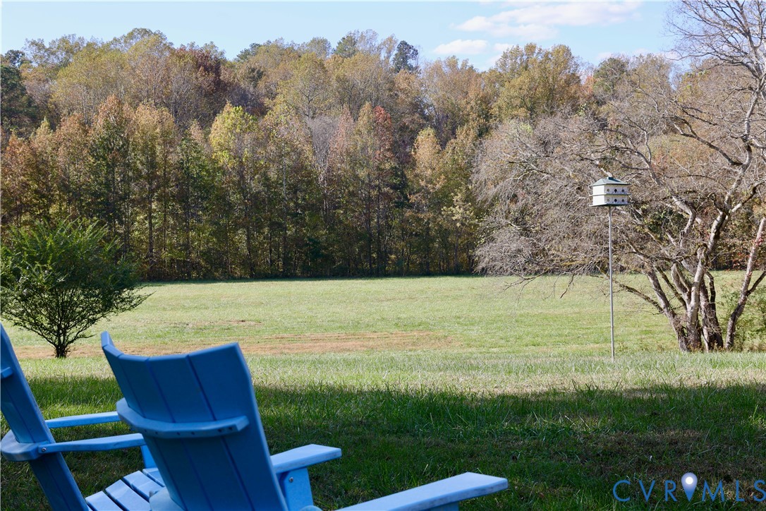794 River Road West Manakin-Sabot, VA 23103 - Photo 73 of 82 Backyard view.