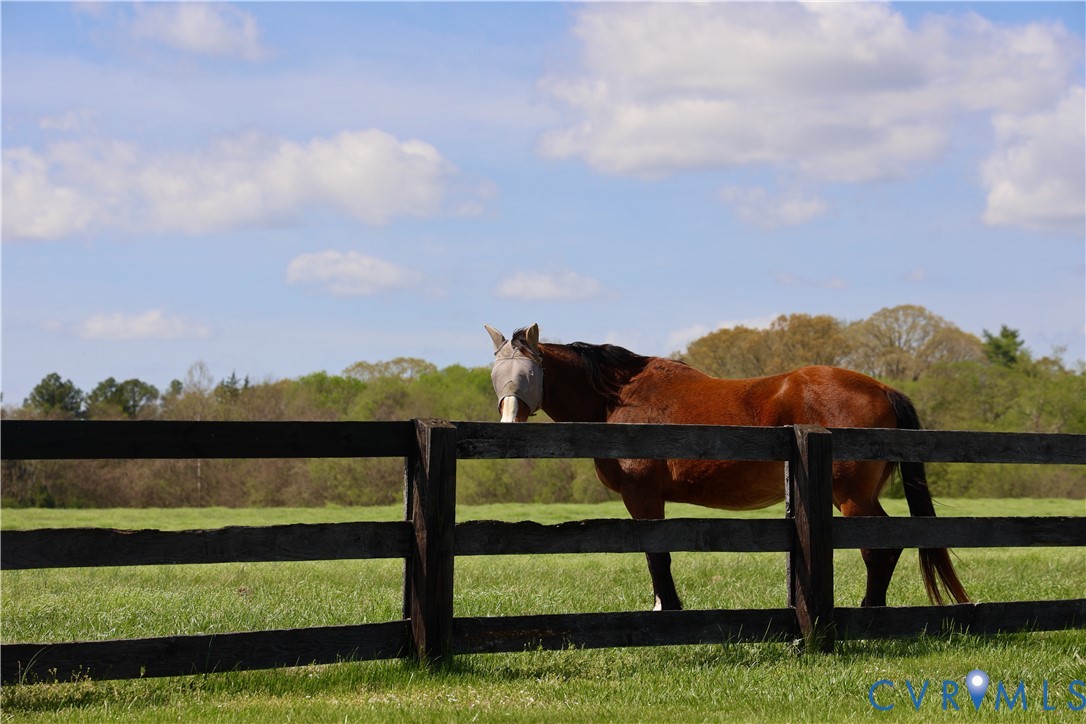 794 River Road West Manakin-Sabot, VA 23103 - Photo 76 of 82 Miles of bridle trails exist in Sabot Hill.