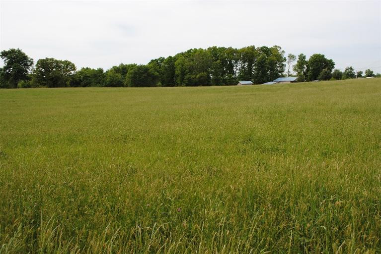 6248 Mt Zion Road London, KY 40741 - Photo 25 of 55 Photo 25
