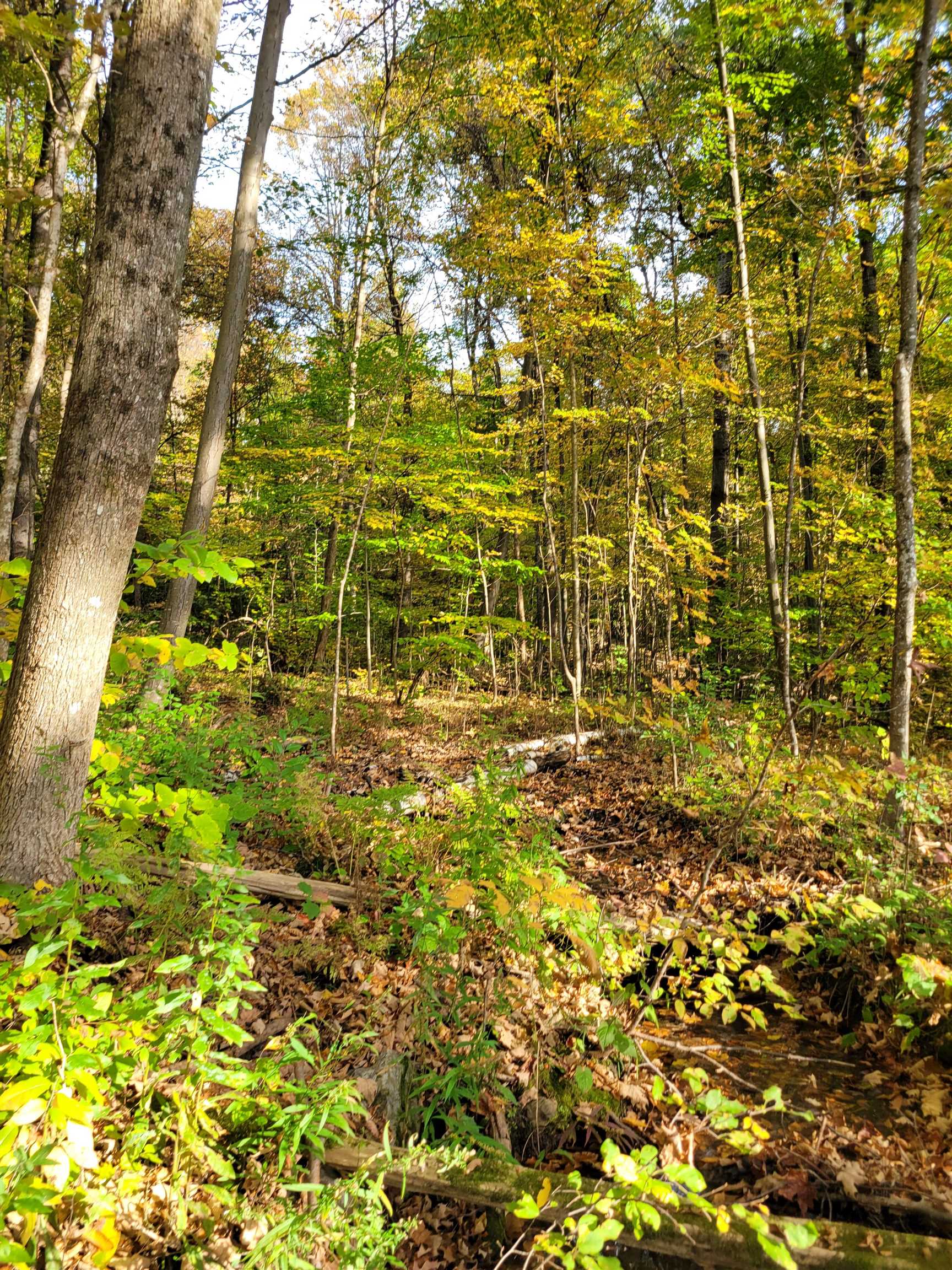 0 Fisher Road Orwell, VT 05760 - Photo 3 of 7