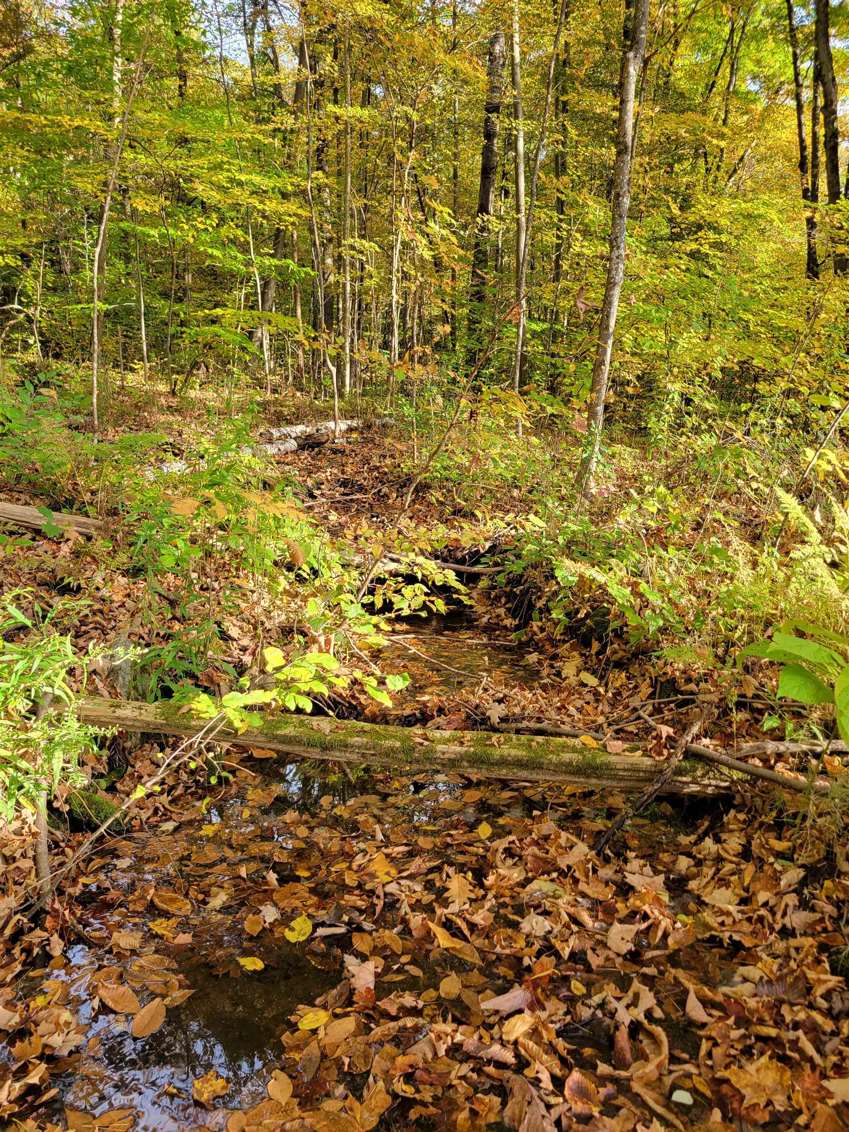 0 Fisher Road Orwell, VT 05760 - Photo 4 of 7