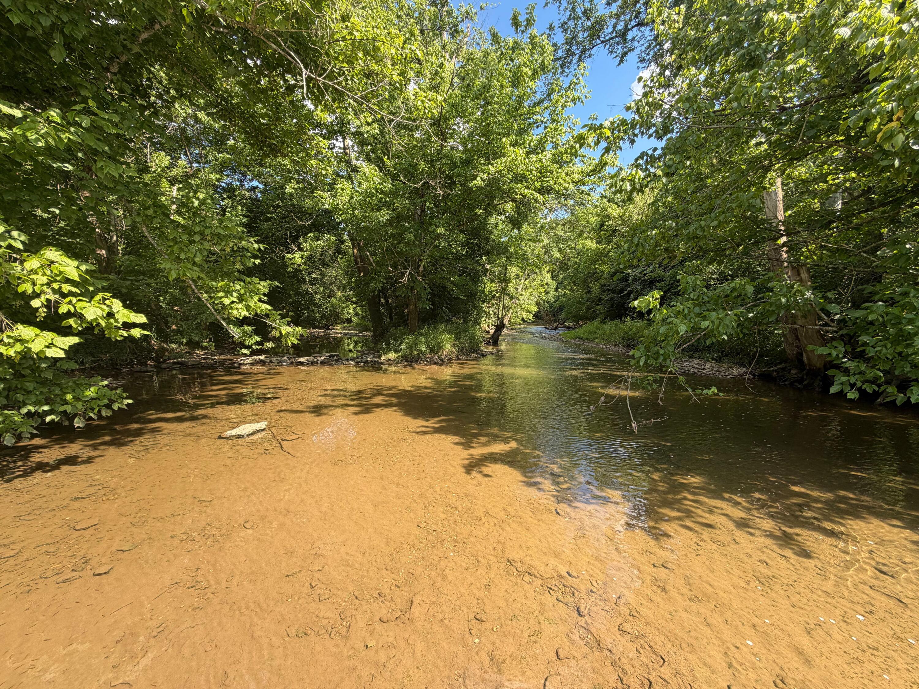 2375 John Watts Road Nicholasville, KY 40356 - Photo 15 of 37 creek