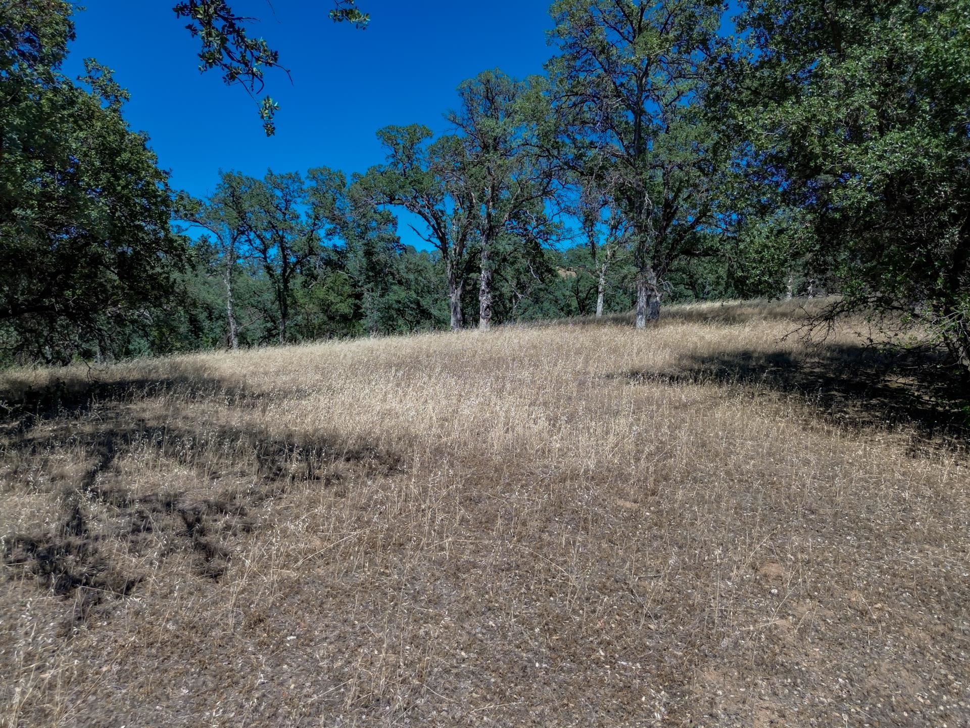 Lot A Penneleme Road Red Bluff, CA 96080 - Photo 10 of 11