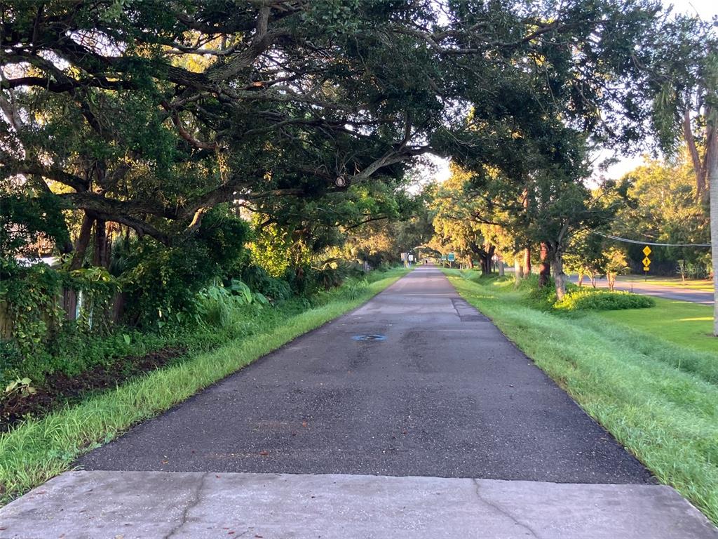 1221 12th Court Southwest Largo, FL 33770 - Photo 13 of 13 a view of a park with plants and trees