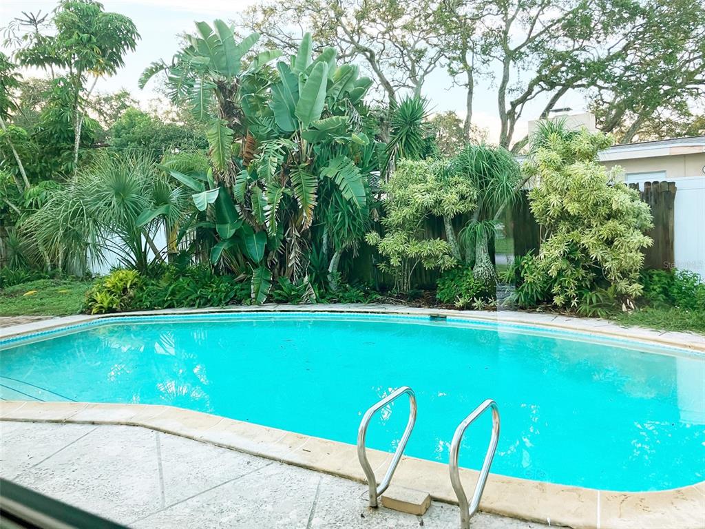 1221 12th Court Southwest Largo, FL 33770 - Photo 10 of 13 a view of a swimming pool with lawn chairs under an umbrella