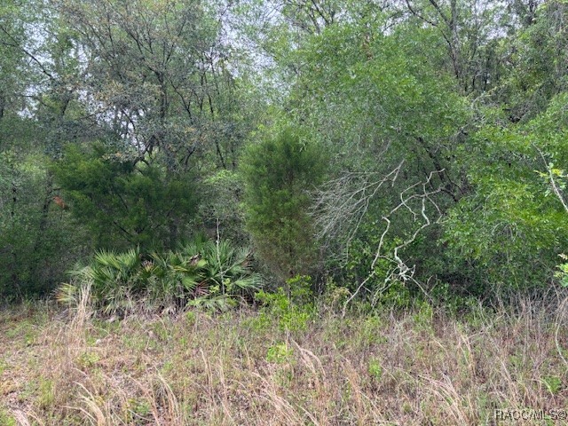 93 North Croft Avenue Inverness, FL 34453 - Photo 1 of 8