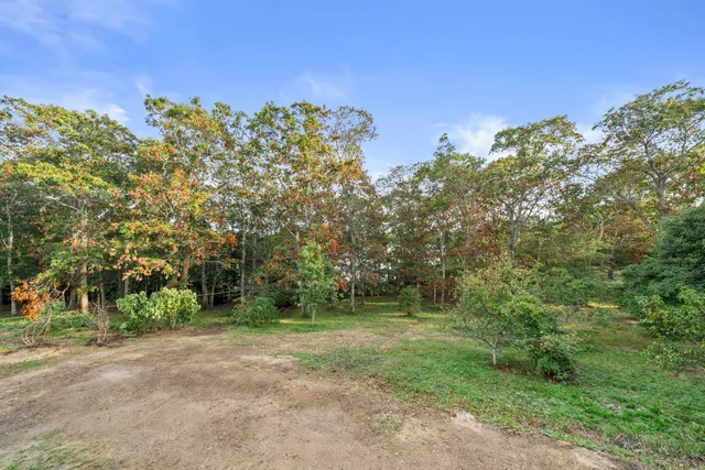 a view of a yard with a tree