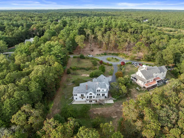 a view of a lush green field with lots of bushes