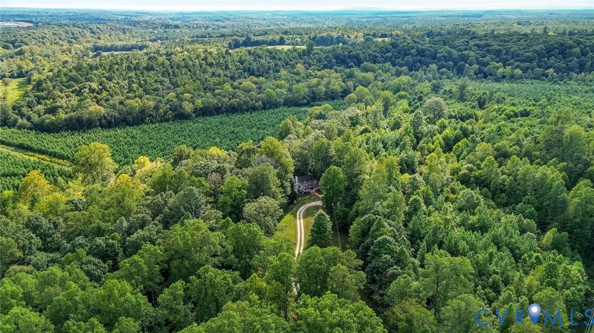 71 Old Mill Road Dillwyn, VA 23936 - Photo 3 of 31 Charming Cape Cod nestled on 4 peaceful acres over