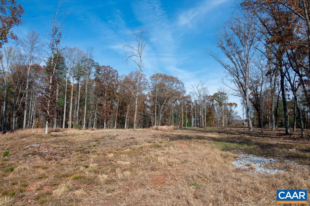 Tbd Red Hill Road Charlottesville, VA 22903 - Photo 11 of 50 a view of road with trees