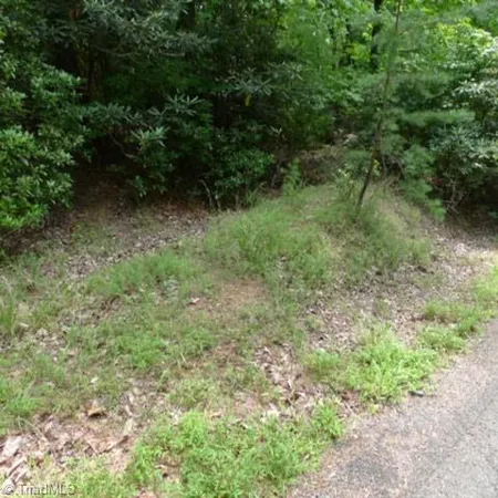 $8,000 | Lot 17 Mountain View Drive, Lowgap, NC 27024