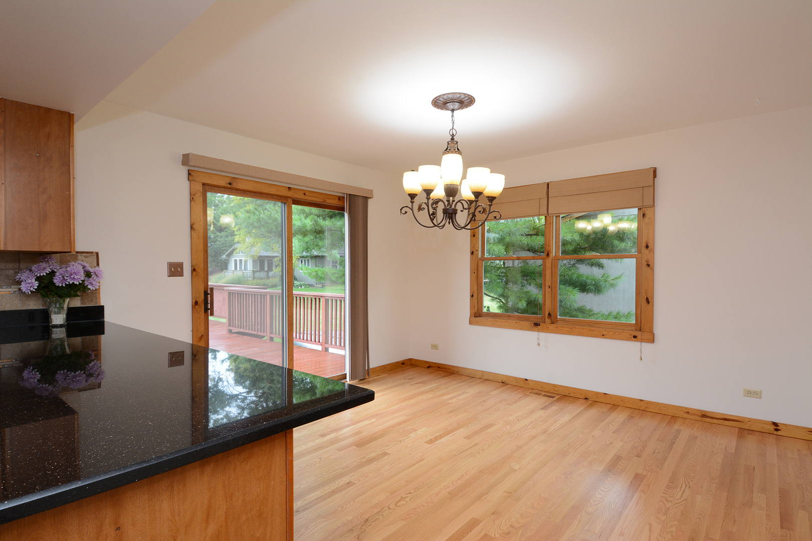 44W290 Plank Road Hampshire, IL 60140 - Photo 11 of 31 a view of a room window wooden floor and chandelier