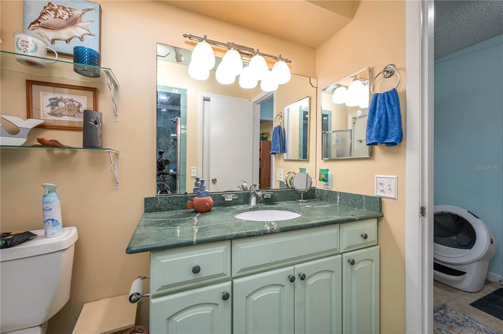 305 Hernando Road Winter Haven, FL 33884 - Photo 24 of 32 a bathroom with a granite countertop sink a toilet and a mirror