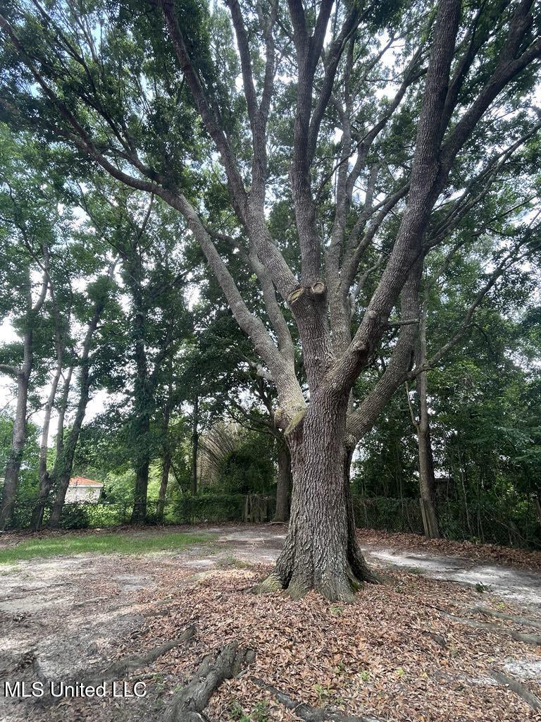 15501 Mallett Road Biloxi, MS 39532 - Photo 7 of 35 2Backyardd