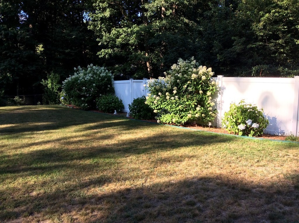 8 Long Meadow Road Chelmsford, MA 01824 - Photo 3 of 17