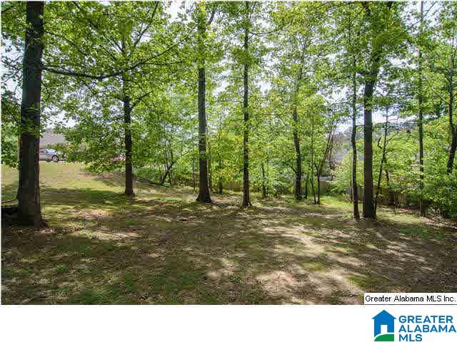 321 Honeysuckle Lane Chelsea, AL 35043 - Photo 24 of 25