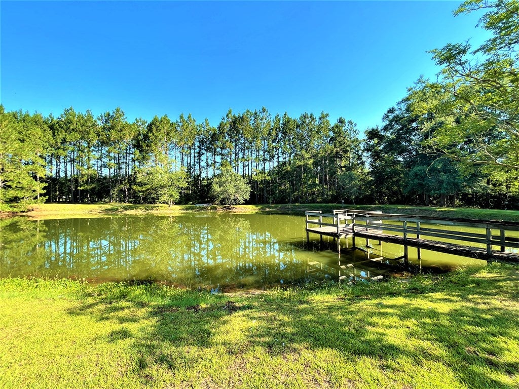 5800 Shiloh Road Hahira, GA 31632 - Photo 32 of 36 Gallery Image 32
