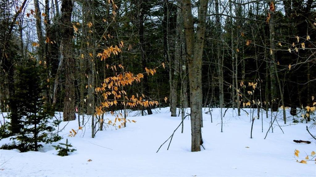 111 Lyford Road Milo, ME 04463 - Photo 12 of 22 Photo