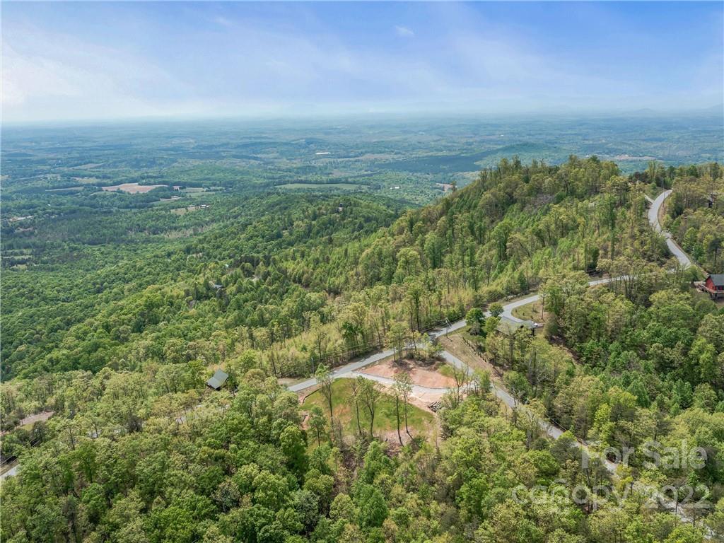 116 Inspiration Ridge Drive Bostic, NC 28018 - Photo 11 of 33 an aerial view of residential houses with outdoor space and trees