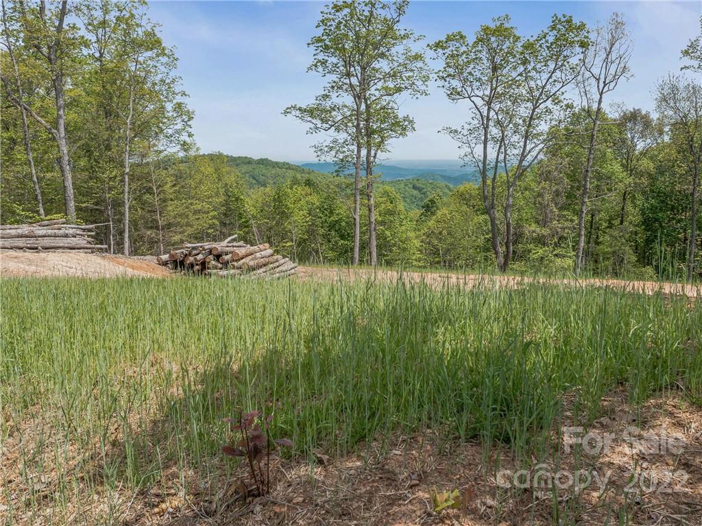 116 Inspiration Ridge Drive Bostic, NC 28018 - Photo 19 of 33 a view of a backyard