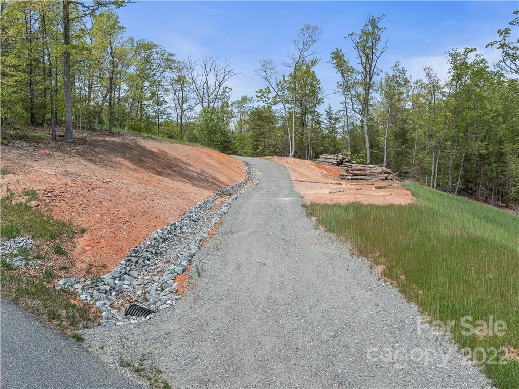 116 Inspiration Ridge Drive Bostic, NC 28018 - Photo 20 of 33 a view of a backyard with a garden