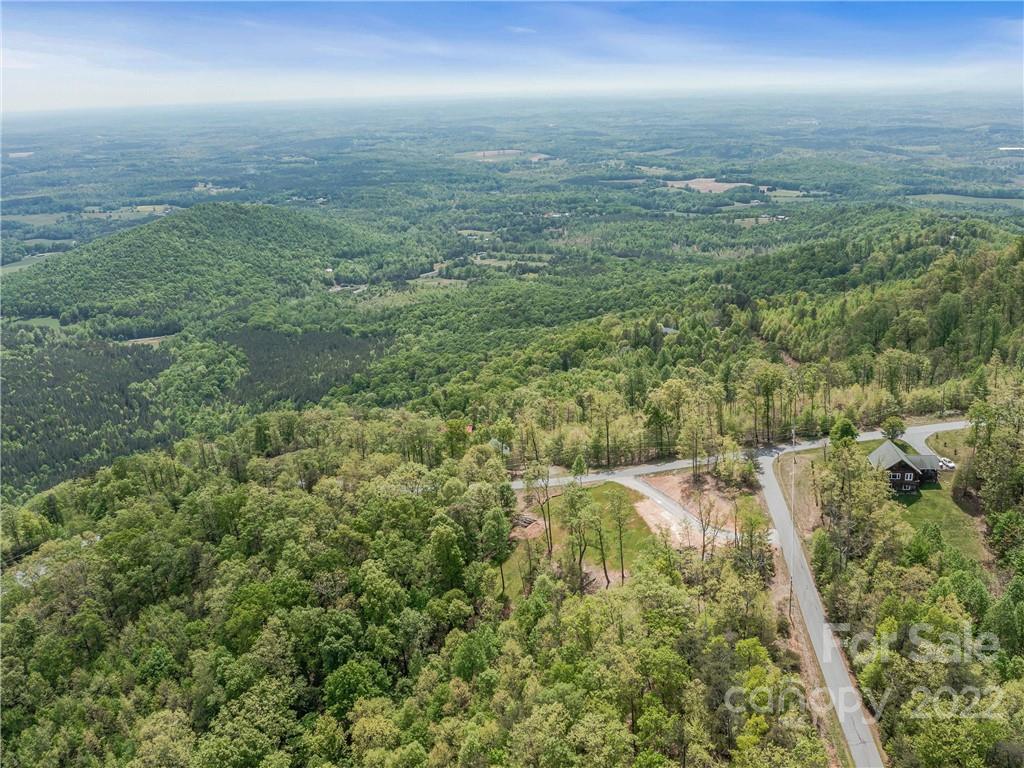 116 Inspiration Ridge Drive Bostic, NC 28018 - Photo 30 of 33 an aerial view of residential houses with outdoor space and trees