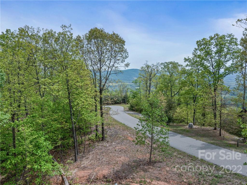 116 Inspiration Ridge Drive Bostic, NC 28018 - Photo 3 of 33 a view of a yard with plants and trees