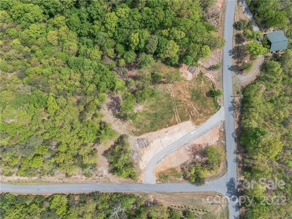 116 Inspiration Ridge Drive Bostic, NC 28018 - Photo 31 of 33 a view of a yard with a tree