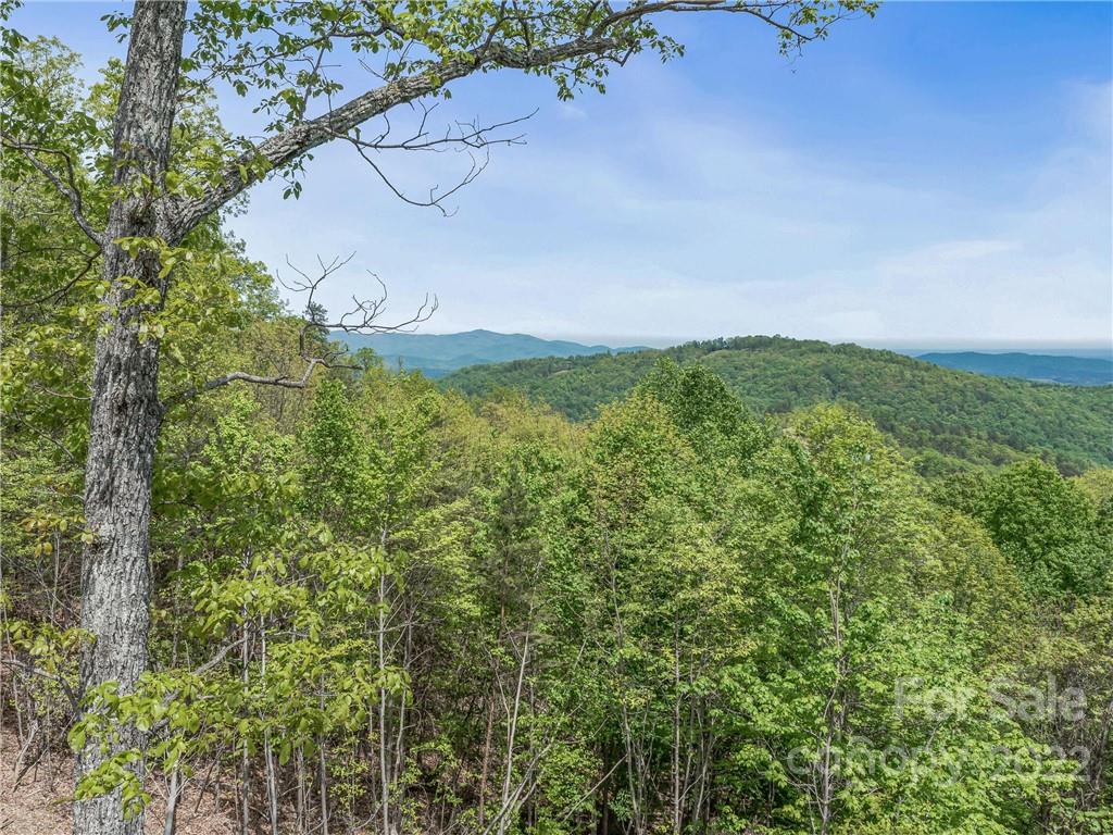 116 Inspiration Ridge Drive Bostic, NC 28018 - Photo 4 of 33