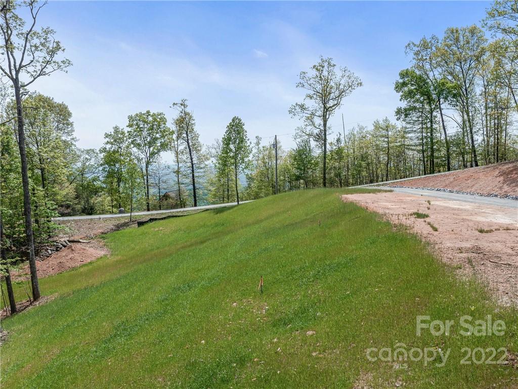 116 Inspiration Ridge Drive Bostic, NC 28018 - Photo 8 of 33 a view of a park with large trees