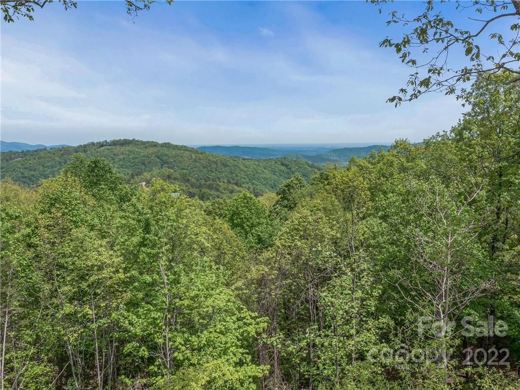116 Inspiration Ridge Drive Bostic, NC 28018 - Photo 10 of 33 a view of a green field