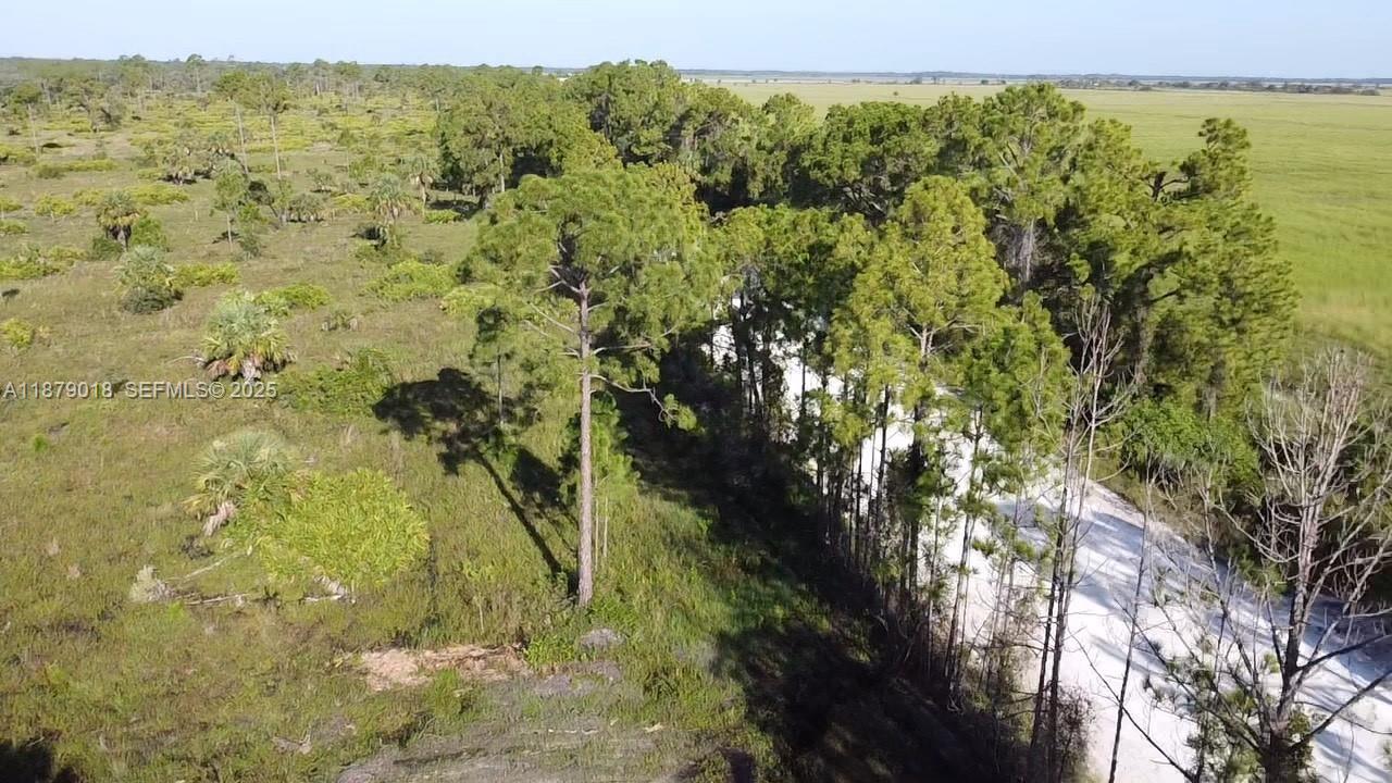 0 Del Verde Punta Gorda, FL 33982 - Photo 7 of 8 a view of a yard with an outdoor space