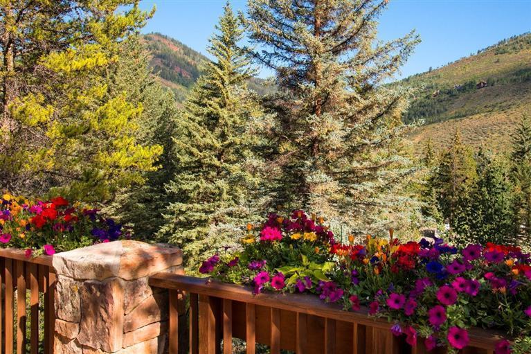 265 West Forest Road Vail, CO 81657 - Photo 11 of 21 Additional Photo