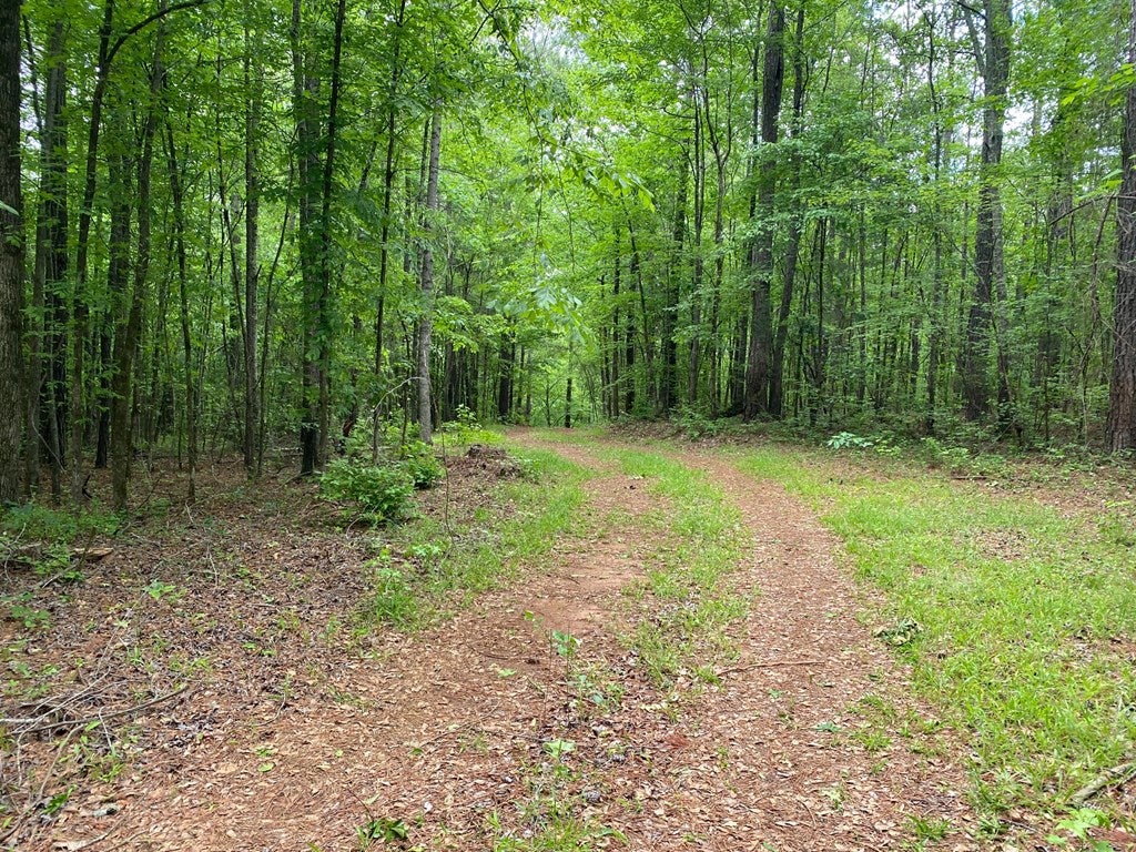 0 Rocky Creek Road Forsyth, GA 31029 - Photo 2 of 8 Gallery Image 2
