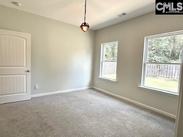 318 Carson Court Lexington, SC 29073 - Photo 12 of 15