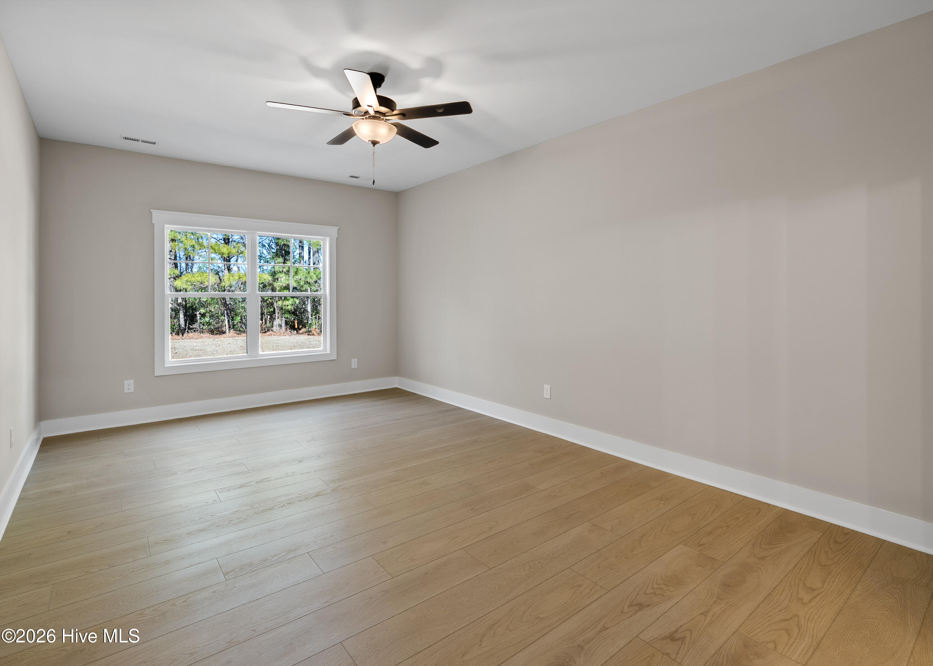 161 Twining Rose Lane Holly Ridge, NC 28445 - Photo 13 of 63 main floor primary suite