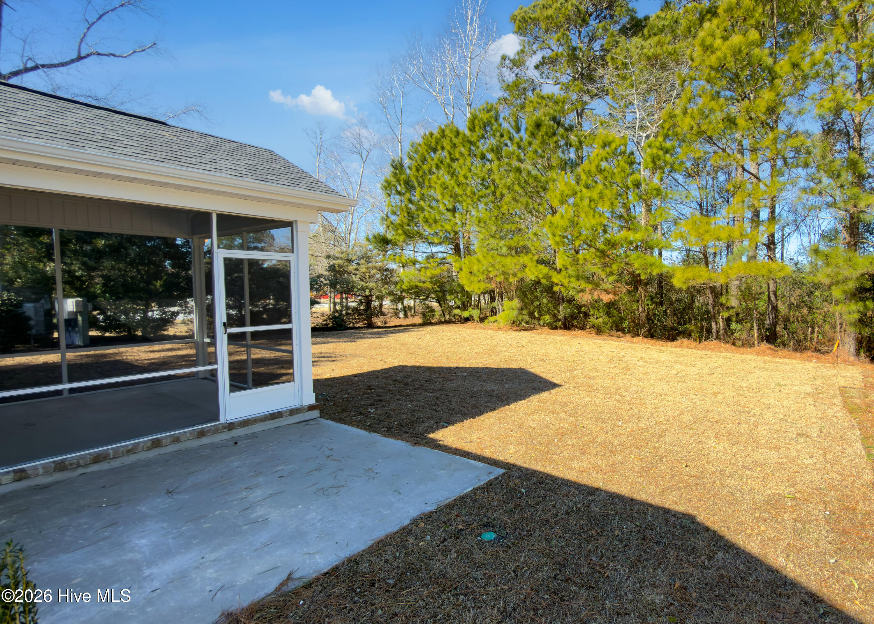 161 Twining Rose Lane Holly Ridge, NC 28445 - Photo 29 of 61 back yard