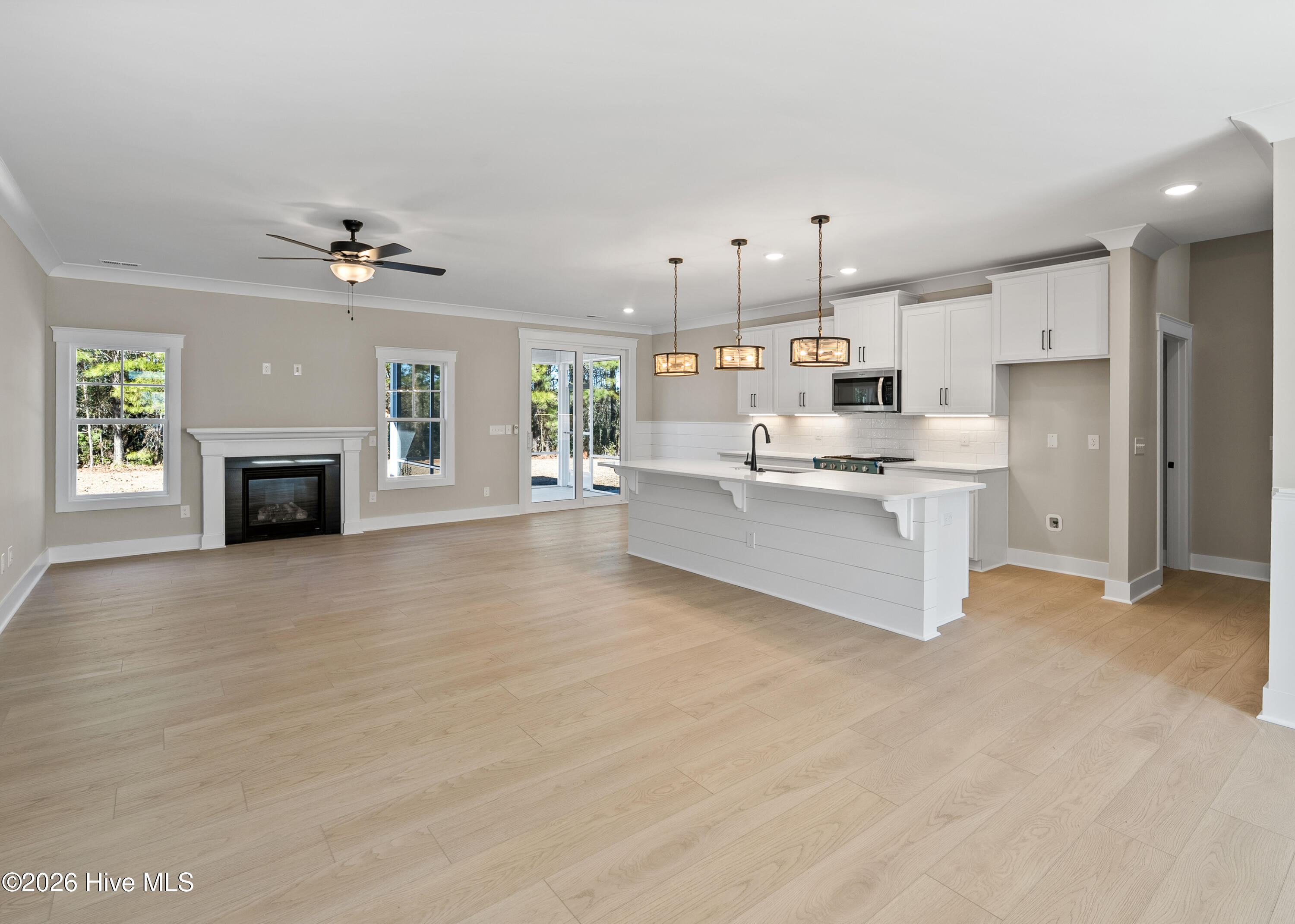 161 Twining Rose Lane Holly Ridge, NC 28445 - Photo 4 of 63 open kitchen/living area