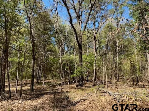 $25,000 | Tbd Broad Meadow, Murchison, TX 75778