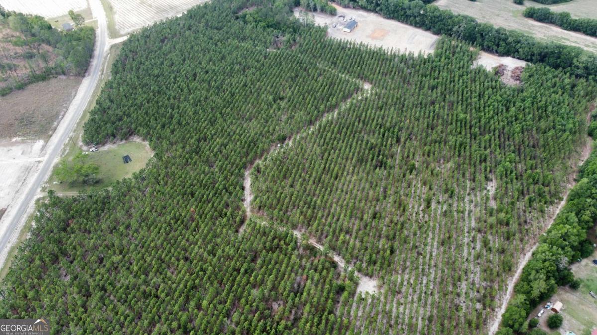 4690 Godwin Road Blackshear, GA 31516 - Photo 10 of 10 a view of a garden