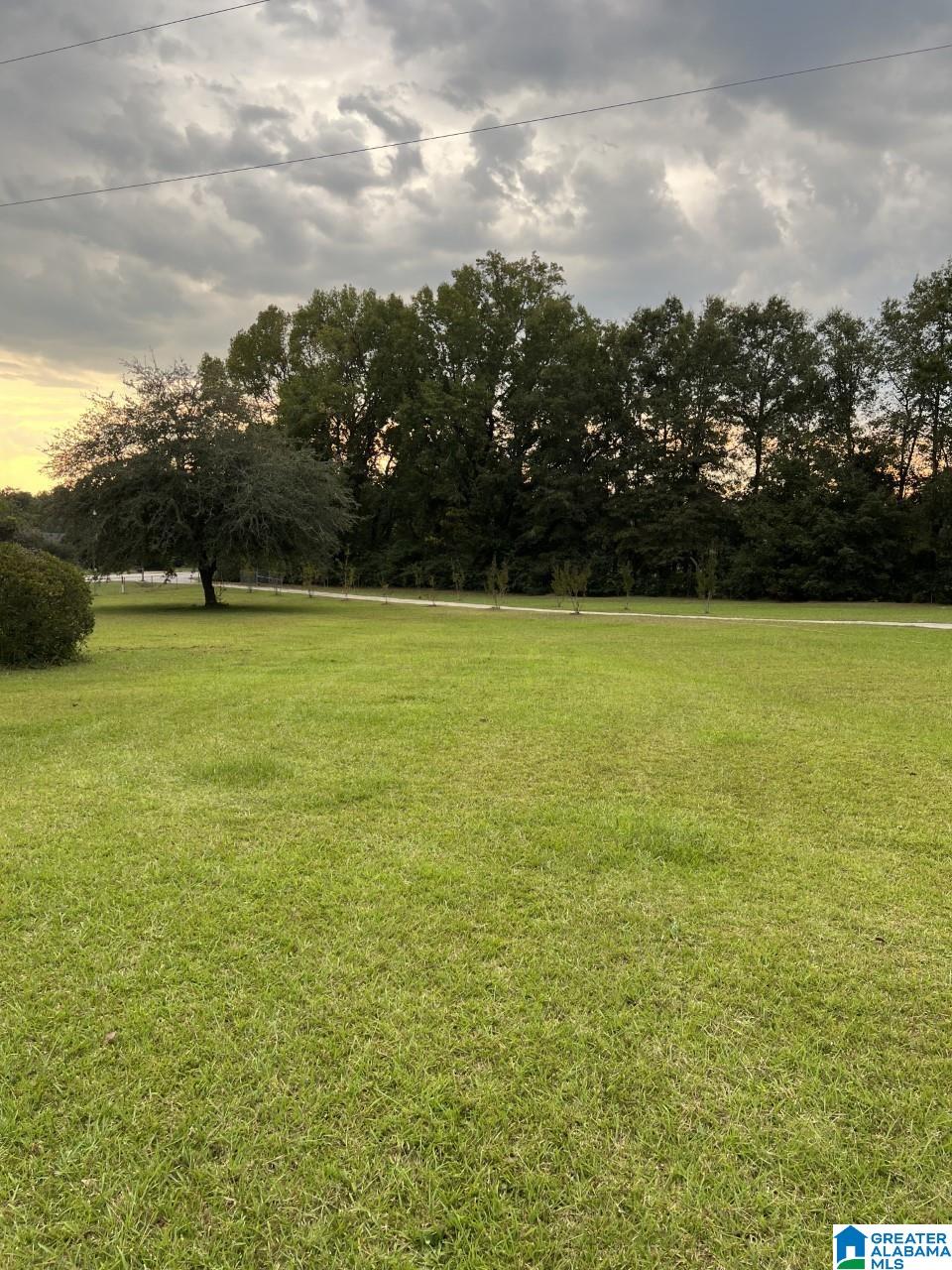 33303 Highway 22 Verbena, AL 36091 - Photo 5 of 23