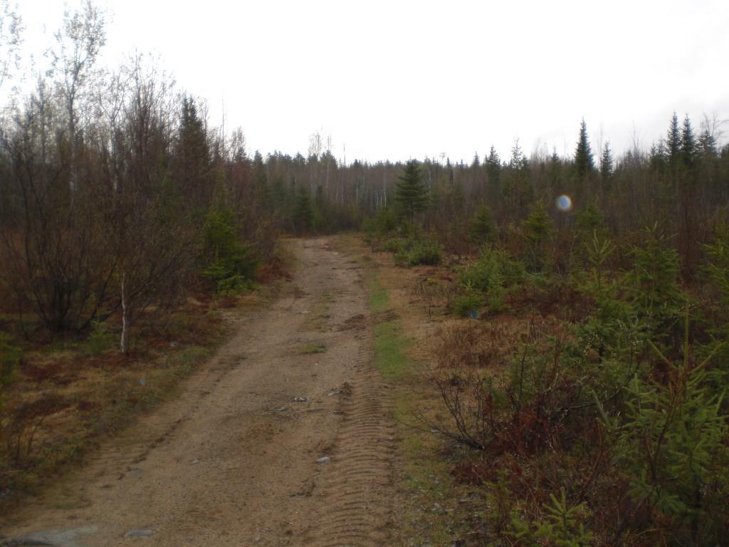 0 Off Route 27 Route Eustis, ME 04936 - Photo 8 of 10 Photo