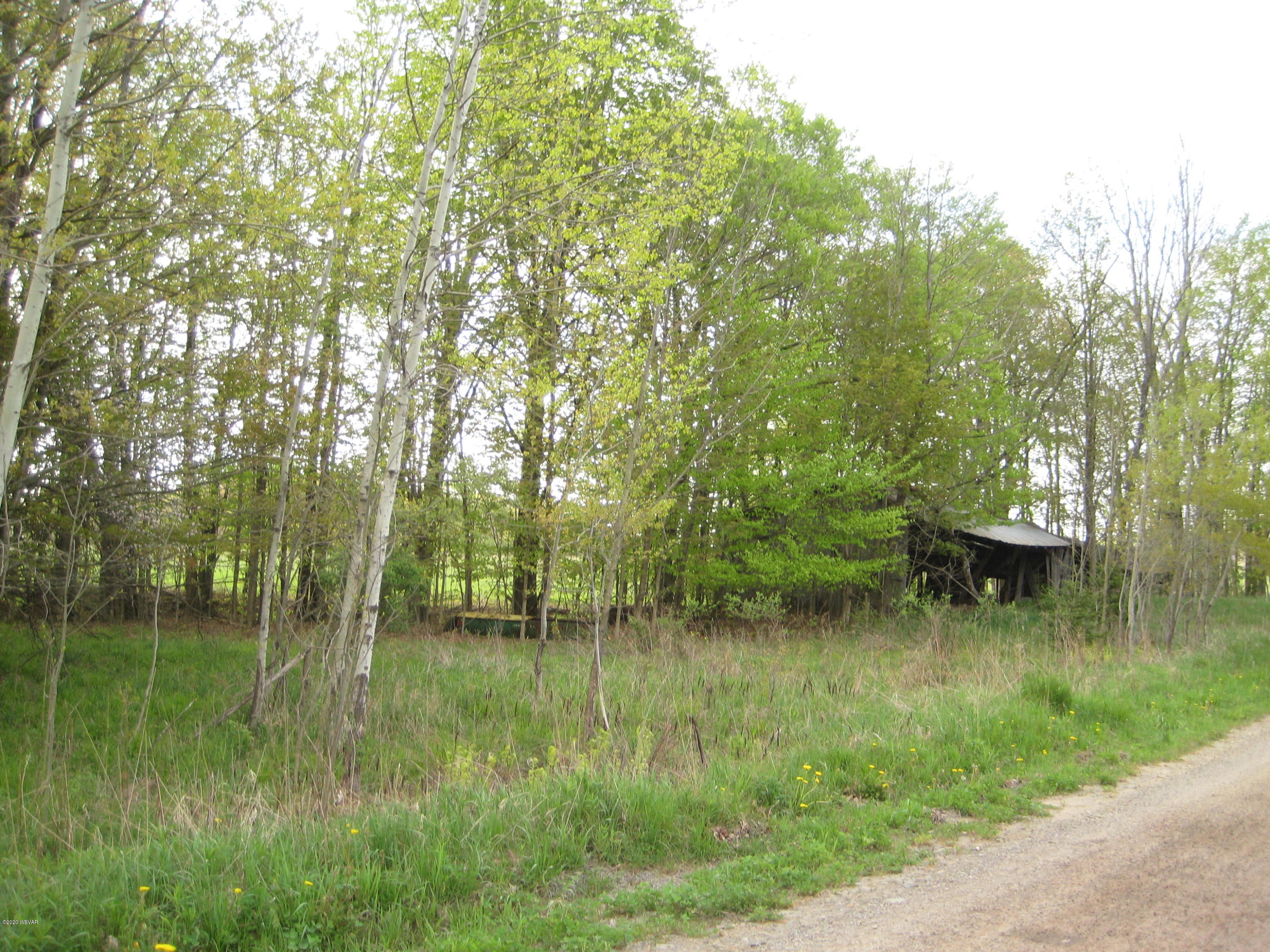 Ellenton Mountain Shunk, PA 17768 - Photo 6 of 7 Gallery Image 6