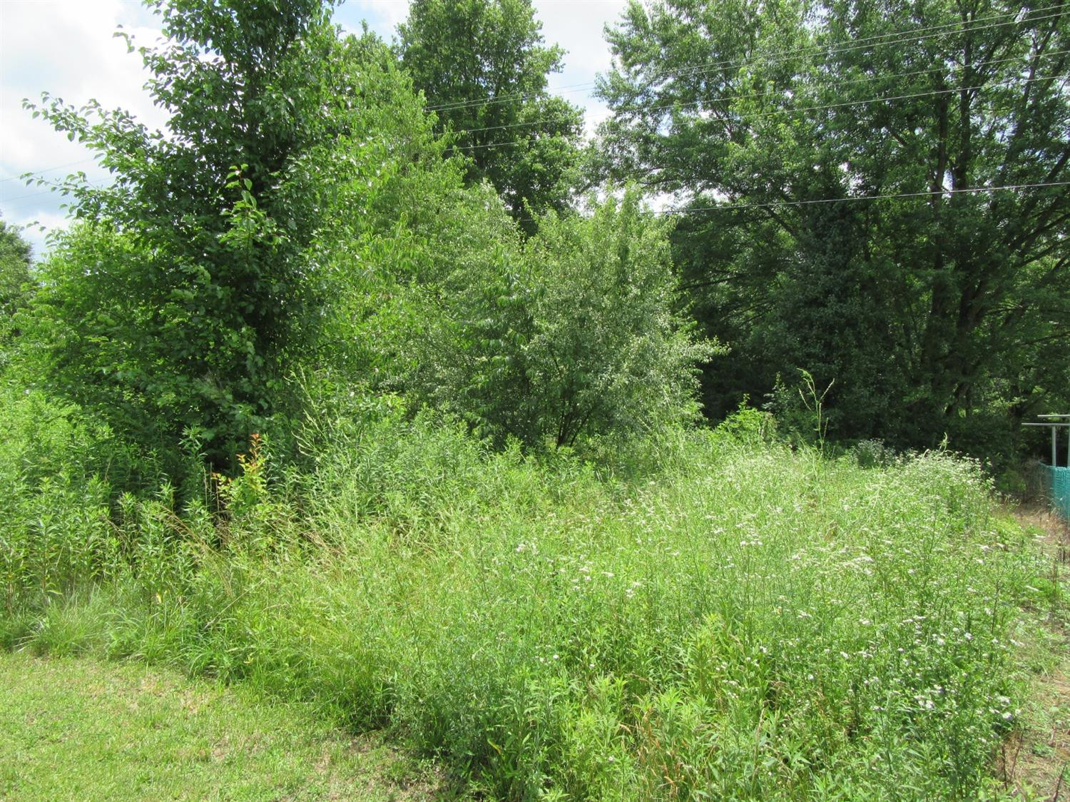 1111 Little Arthur Ridge Road East Bernstadt, KY 40729 - Photo 5 of 5 Listing Photo
