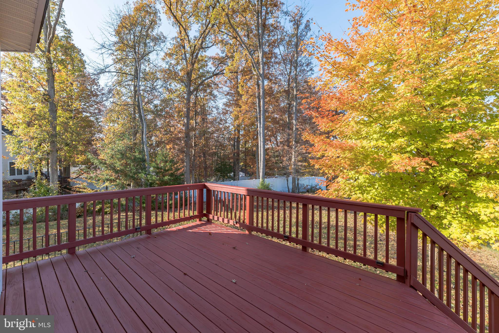 3602 Lions Field Road Triangle, VA 22172 - Photo 45 of 48