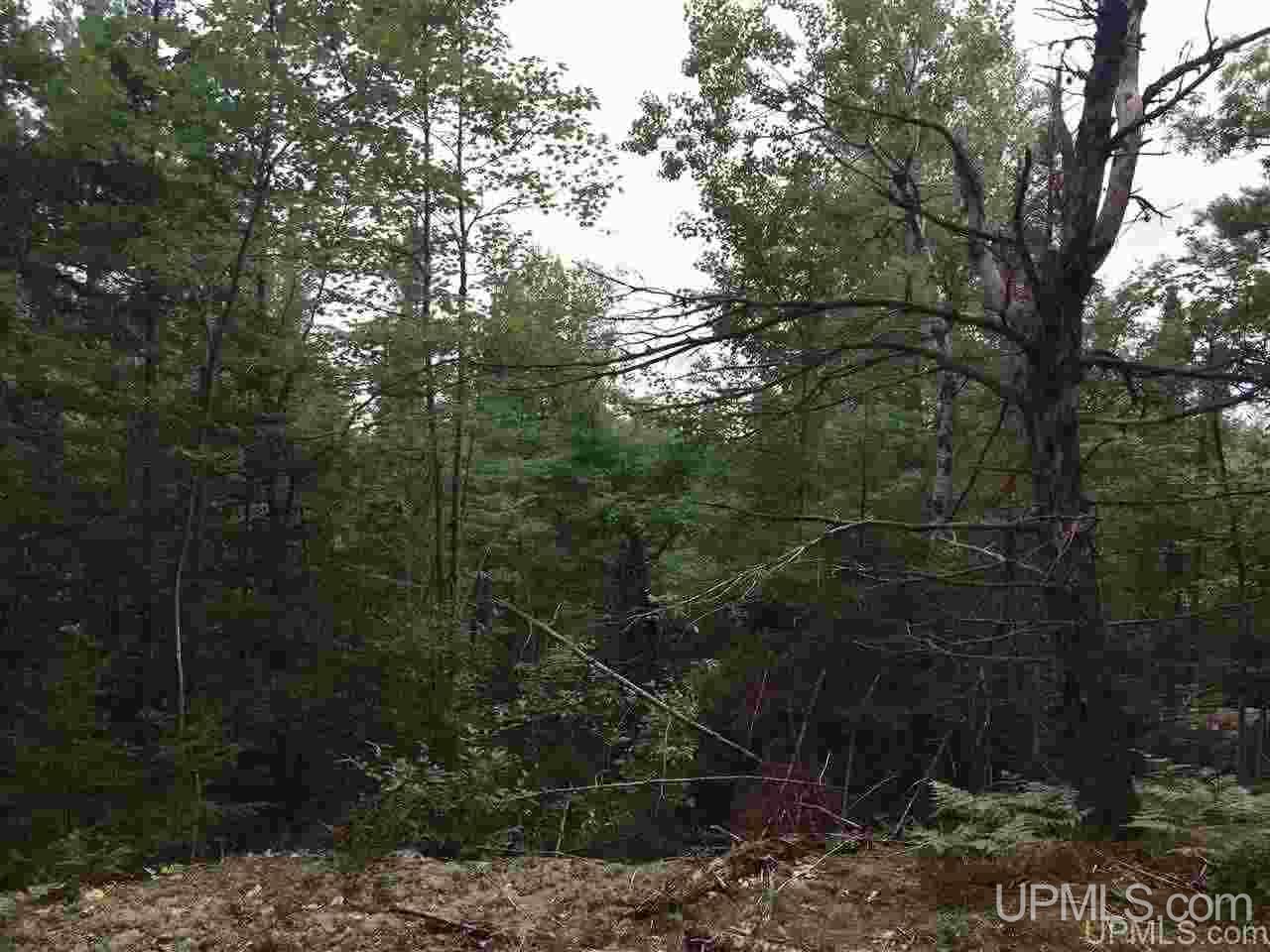 M35 Ne Negaunee, MI 49866 - Photo 12 of 17 Gallery Image 12